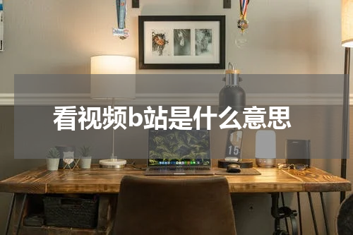 看视频b站是什么意思