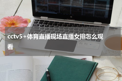 cctv5+体育直播现场直播女排怎么观看