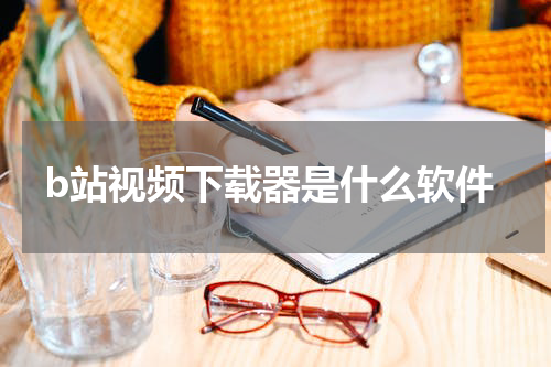 b站视频下载器是什么软件