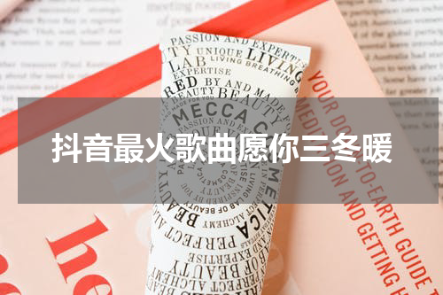 抖音最火歌曲愿你三冬暖