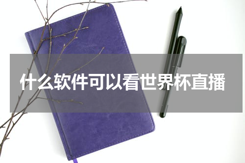 什么软件可以看世界杯直播