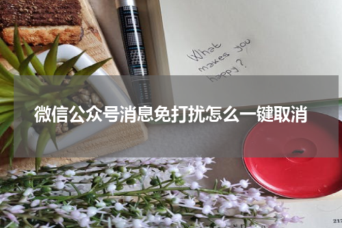 微信公众号消息免打扰怎么一键取消