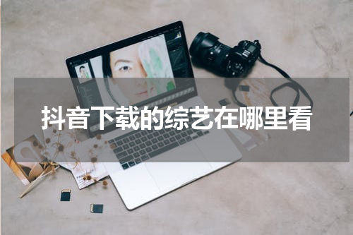 抖音下载的综艺在哪里看