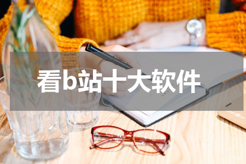 看b站十大软件