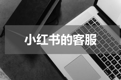 小红书的客服