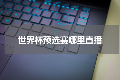 世界杯预选赛哪里直播