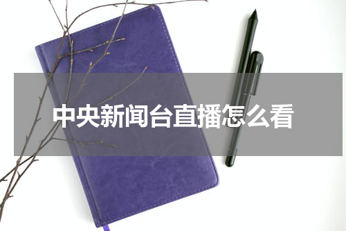 中央新闻台直播怎么看