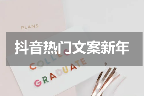抖音热门文案新年