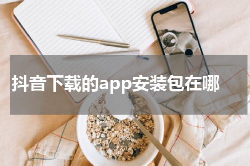 抖音下载的app安装包在哪