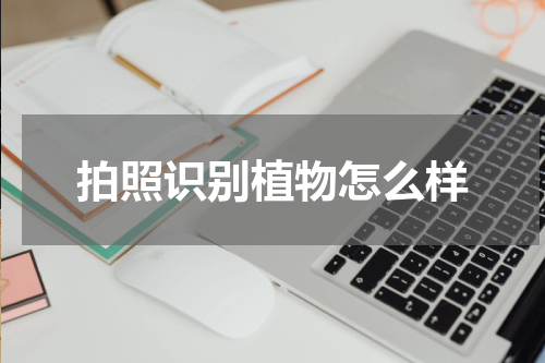 拍照识别植物怎么样