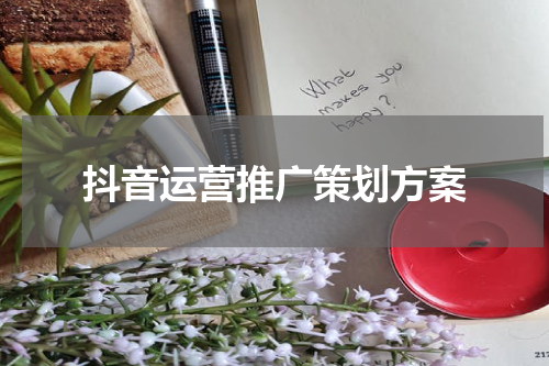 抖音运营推广策划方案