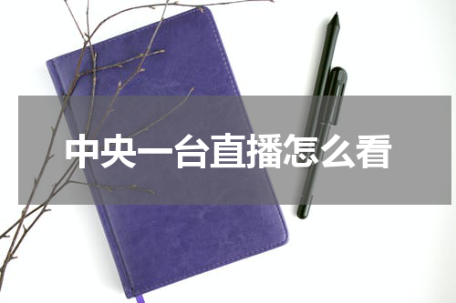 中央一台直播怎么看