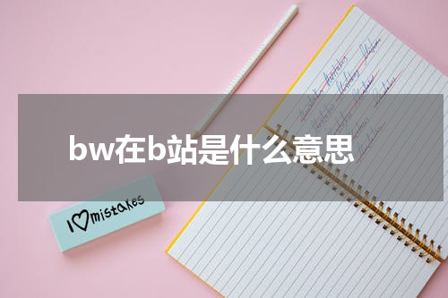 bw在b站是什么意思