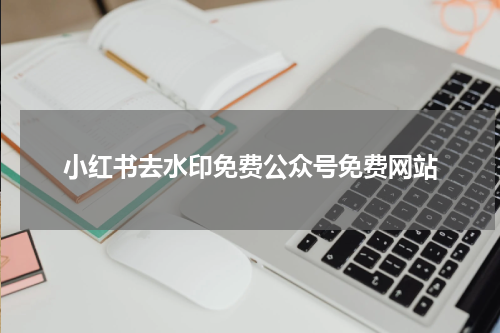 小红书去水印免费公众号免费网站