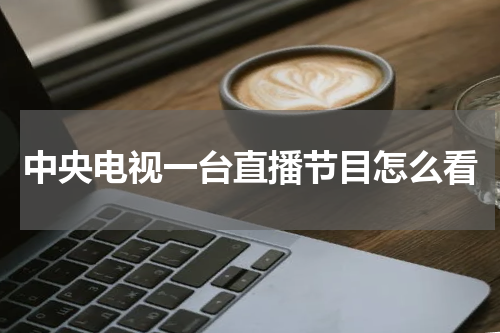 中央电视一台直播节目怎么看