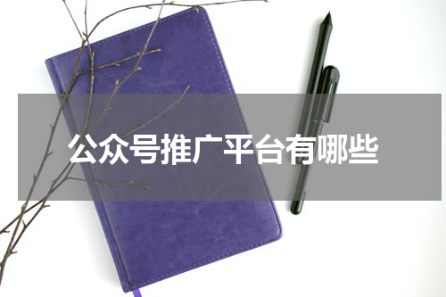公众号推广平台有哪些