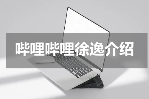 哔哩哔哩徐逸介绍