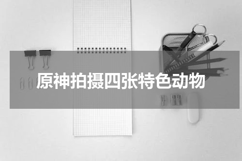 原神拍摄四张特色动物