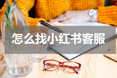 怎么找小红书客服