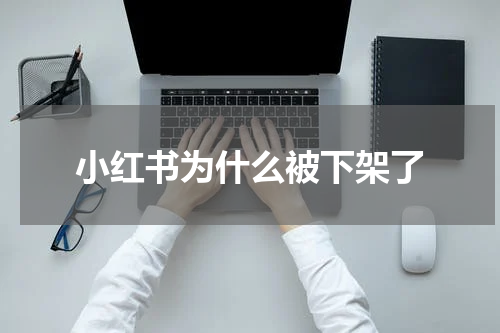 小红书为什么被下架了