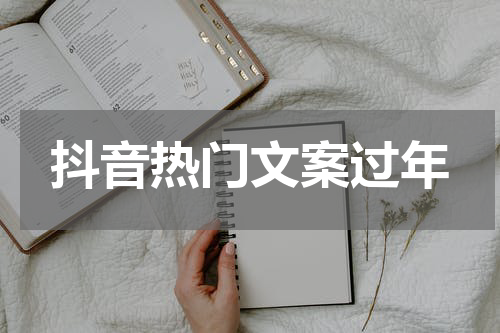 抖音热门文案过年