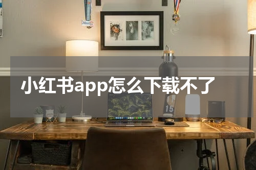 小红书app怎么下载不了