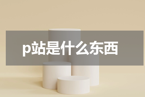 p站是什么东西