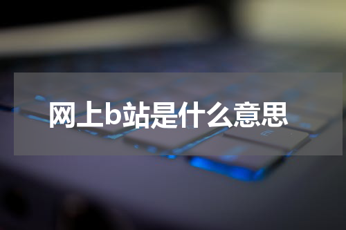 网上b站是什么意思