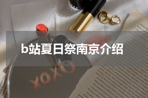 b站夏日祭南京介绍