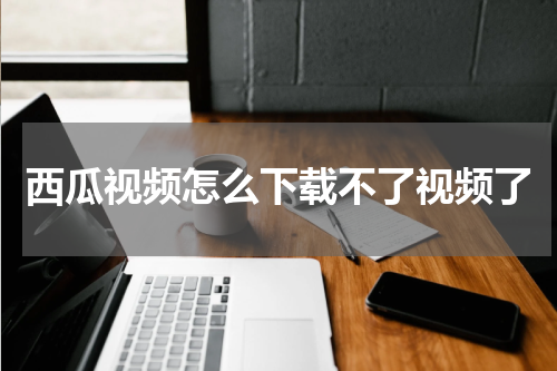 西瓜视频怎么下载不了视频了