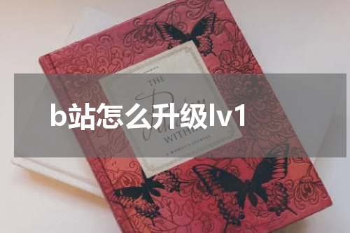 b站怎么升级lv1