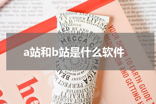 a站和b站是什么软件