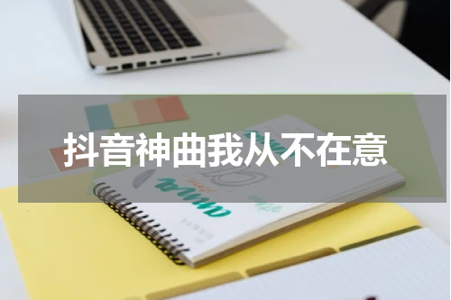 抖音神曲我从不在意