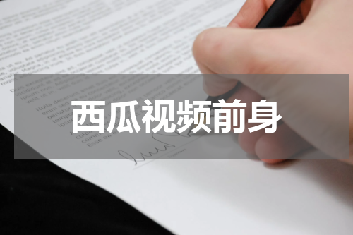 西瓜视频前身