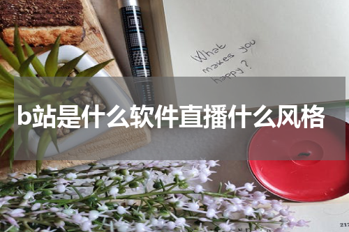 b站是什么软件直播什么风格