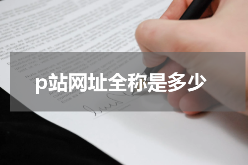 p站网址全称是多少
