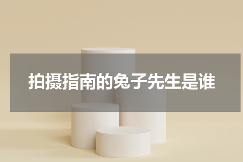 拍摄指南的兔子先生是谁