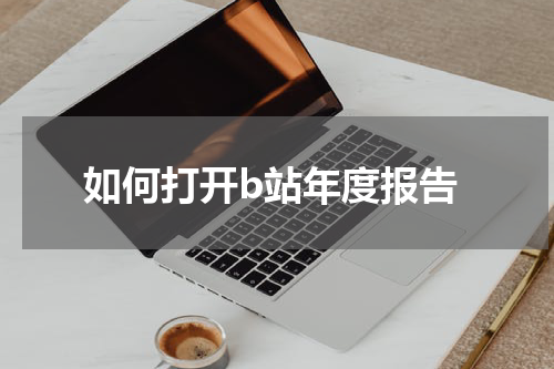 如何打开b站年度报告