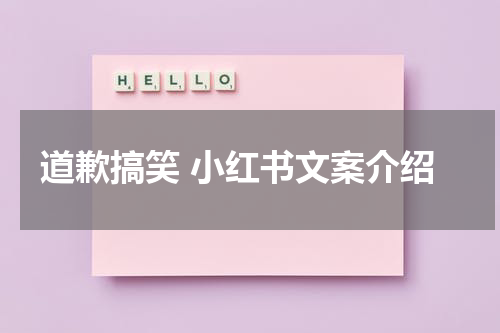 道歉搞笑 小红书文案介绍
