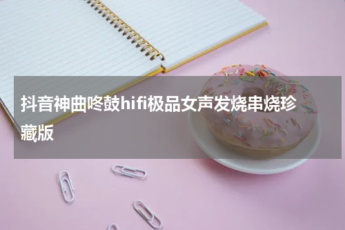 抖音神曲咚鼓hifi极品女声发烧串烧珍藏版