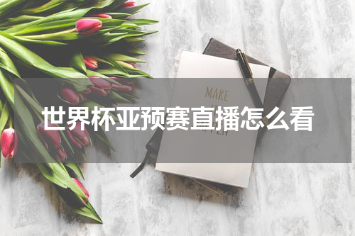 世界杯亚预赛直播怎么看