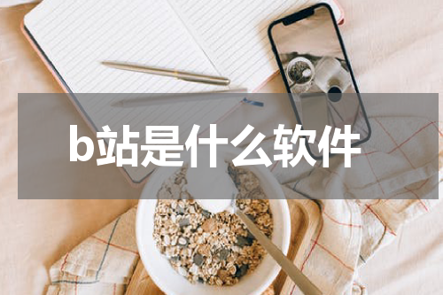 b站是什么软件