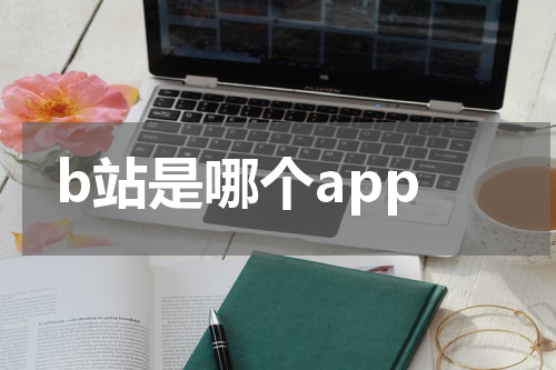 b站是哪个app