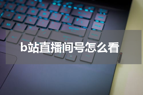 b站直播间号怎么看