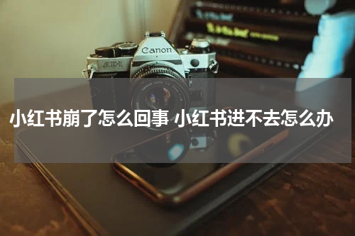 小红书崩了怎么回事 小红书进不去怎么办