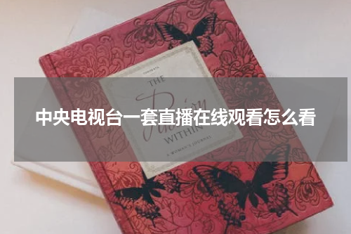 中央电视台一套直播在线观看怎么看