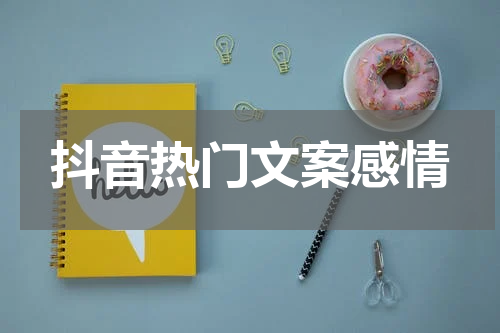 抖音热门文案感情