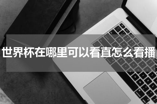 世界杯在哪里可以看直怎么看播