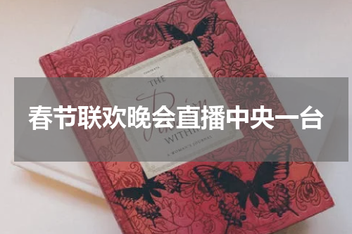 春节联欢晚会直播中央一台