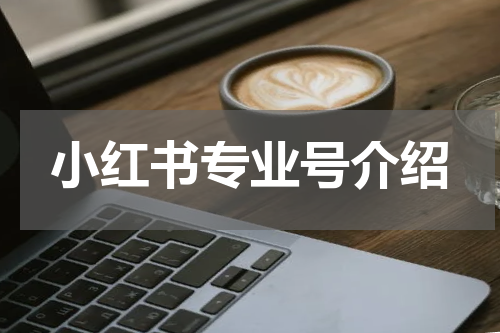 小红书专业号介绍
